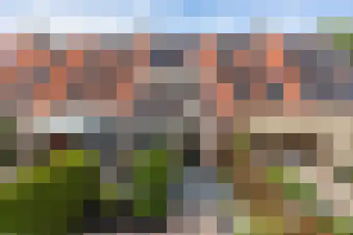 Rietgors 44 Stolwijk thumbnail 7