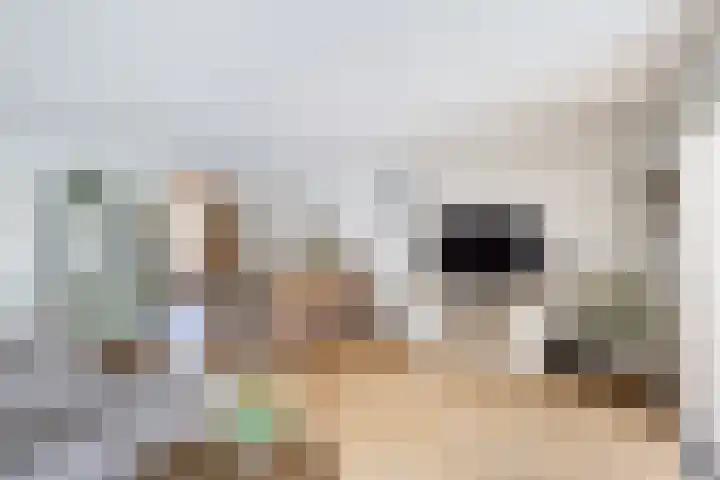 Rietgors 44 Stolwijk thumbnail 8