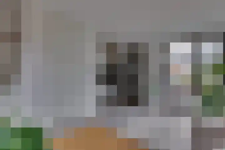 Rietgors 45 Olst thumbnail 12