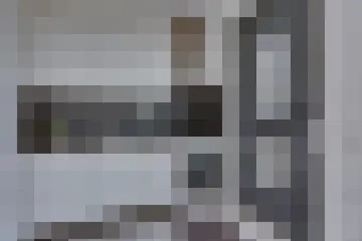 Rietgors 45 Olst thumbnail 13