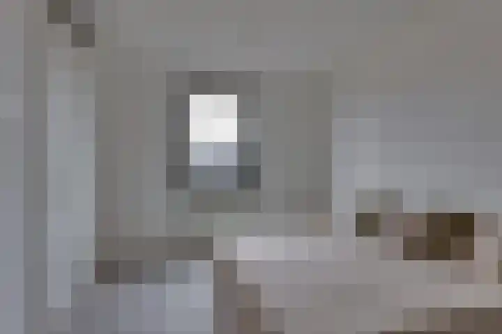 Rietgors 45 Olst thumbnail 17