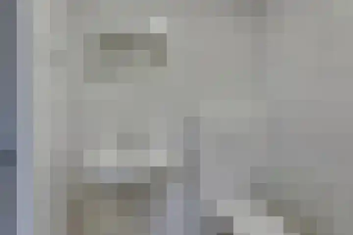 Rietgors 45 Olst thumbnail 20