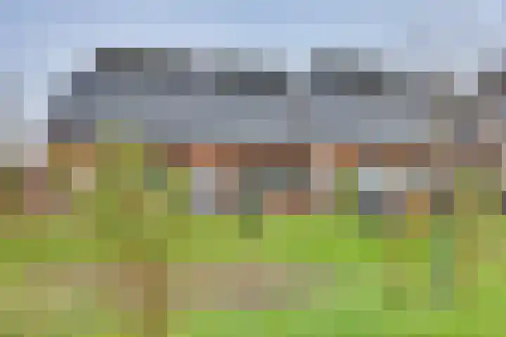 Rietgors 45 Olst thumbnail 24