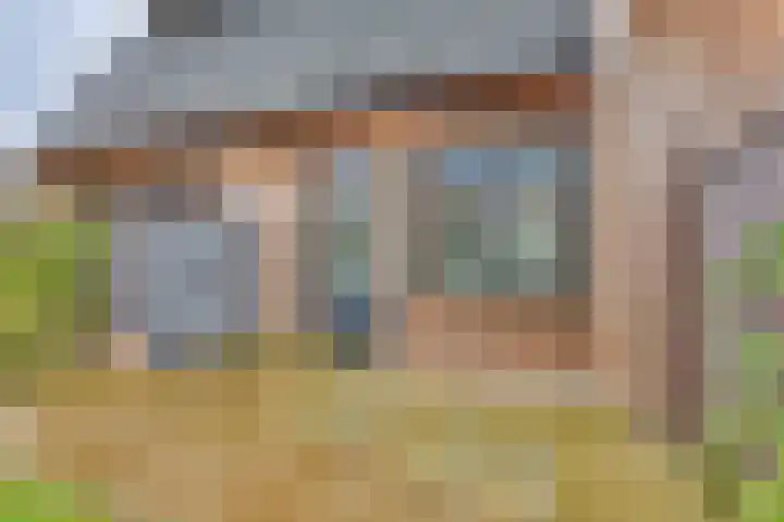Rietgors 45 Olst thumbnail 26