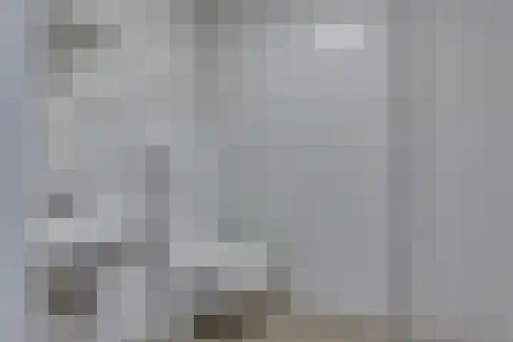 Rietgors 45 Olst thumbnail 5