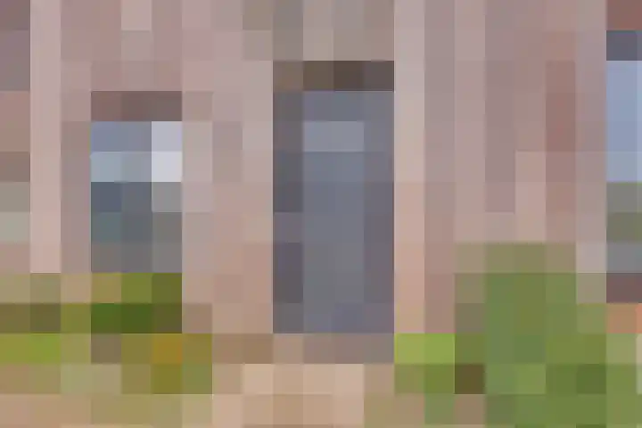 Rietgors 45 Olst thumbnail 7
