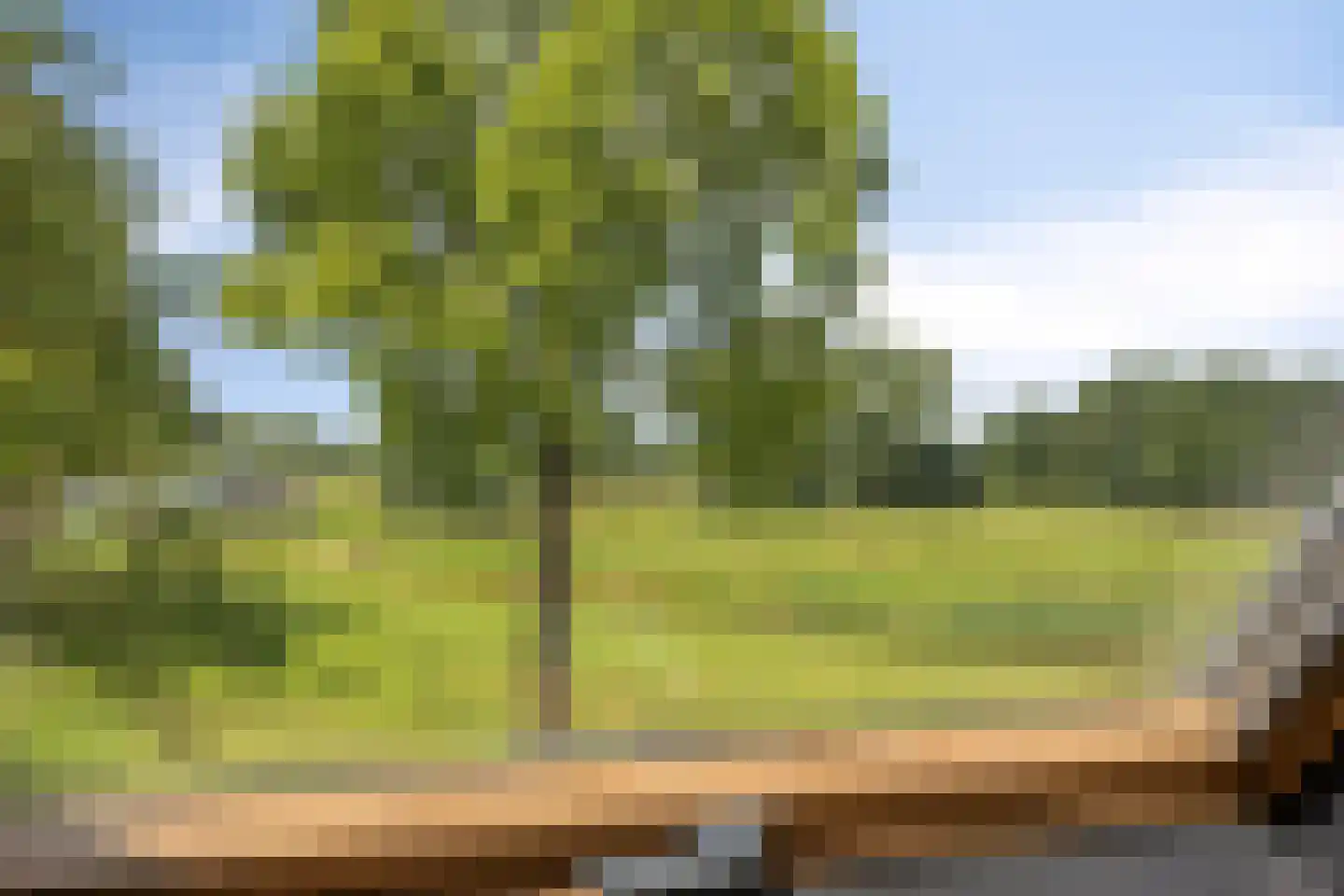 Rietgors 48 IJsselmuiden thumbnail 34
