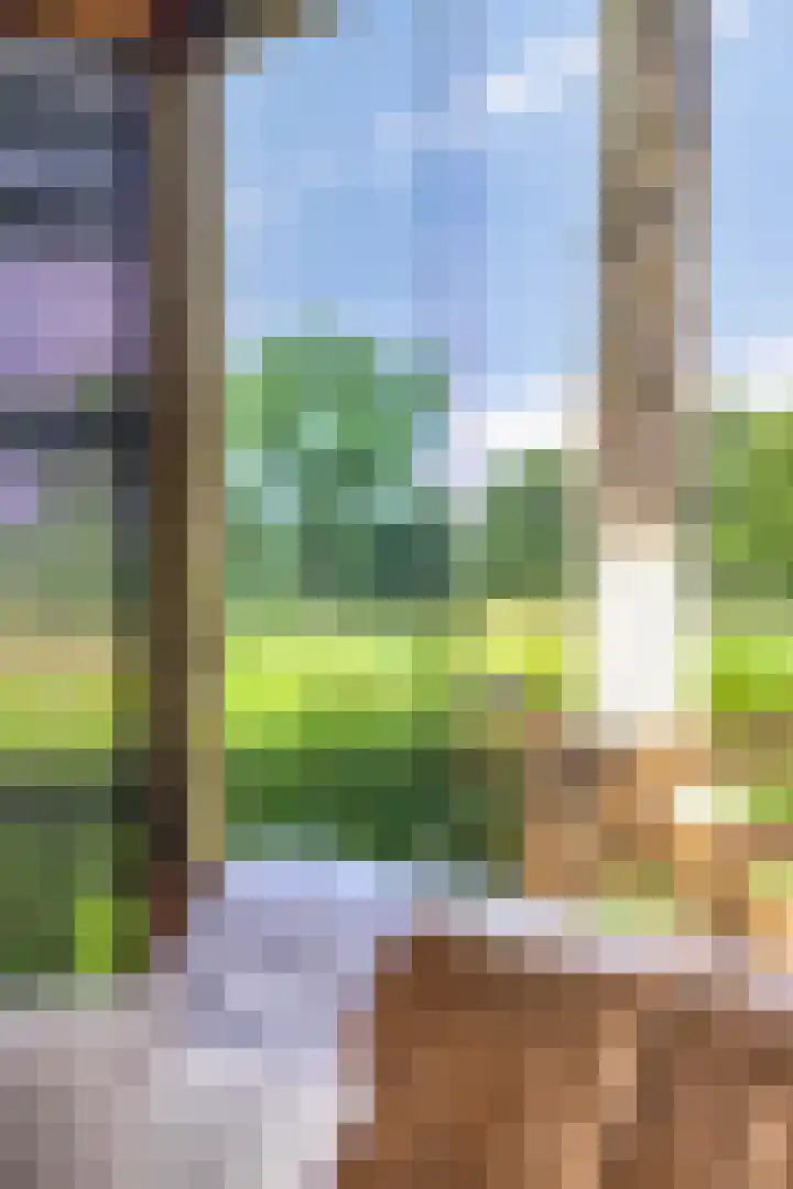 Rietgors 48 IJsselmuiden thumbnail 43