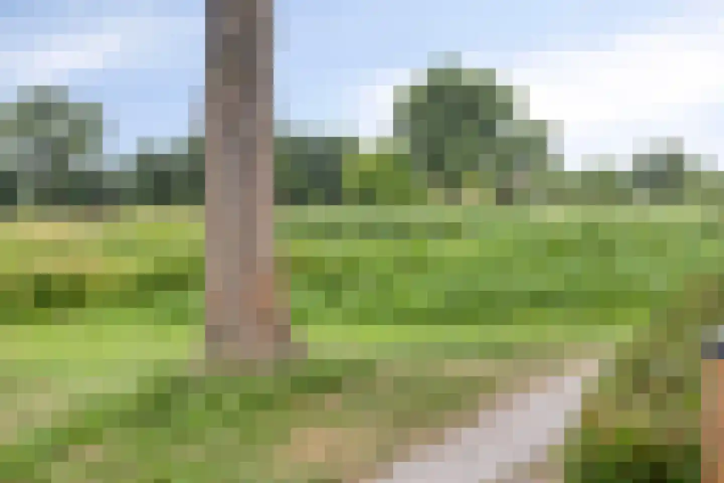 Rietgors 48 IJsselmuiden thumbnail 47