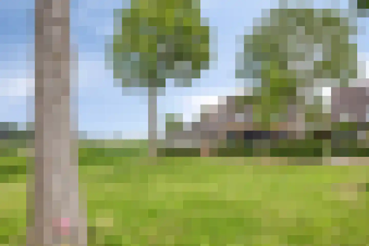 Rietgors 48 IJsselmuiden thumbnail 48