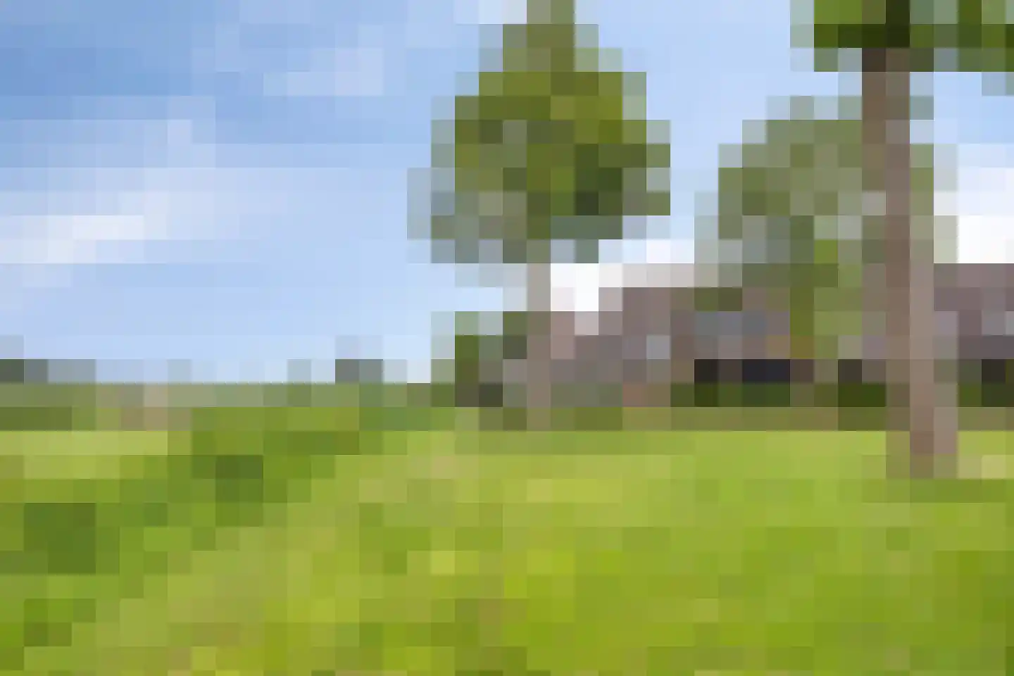 Rietgors 48 IJsselmuiden thumbnail 49