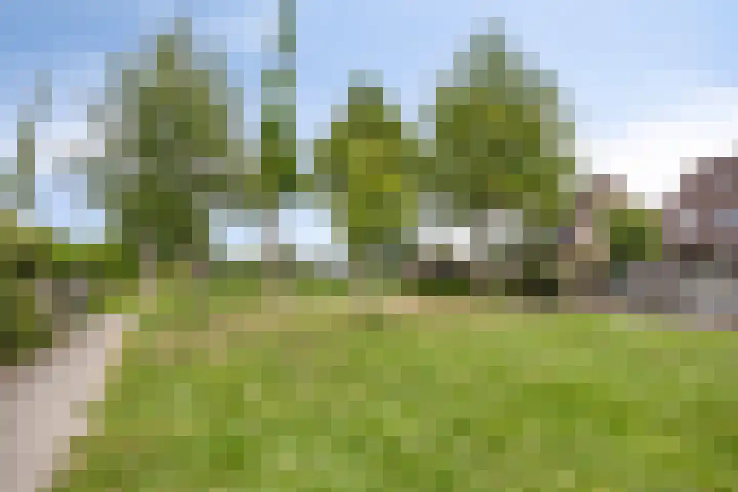 Rietgors 48 IJsselmuiden thumbnail 52