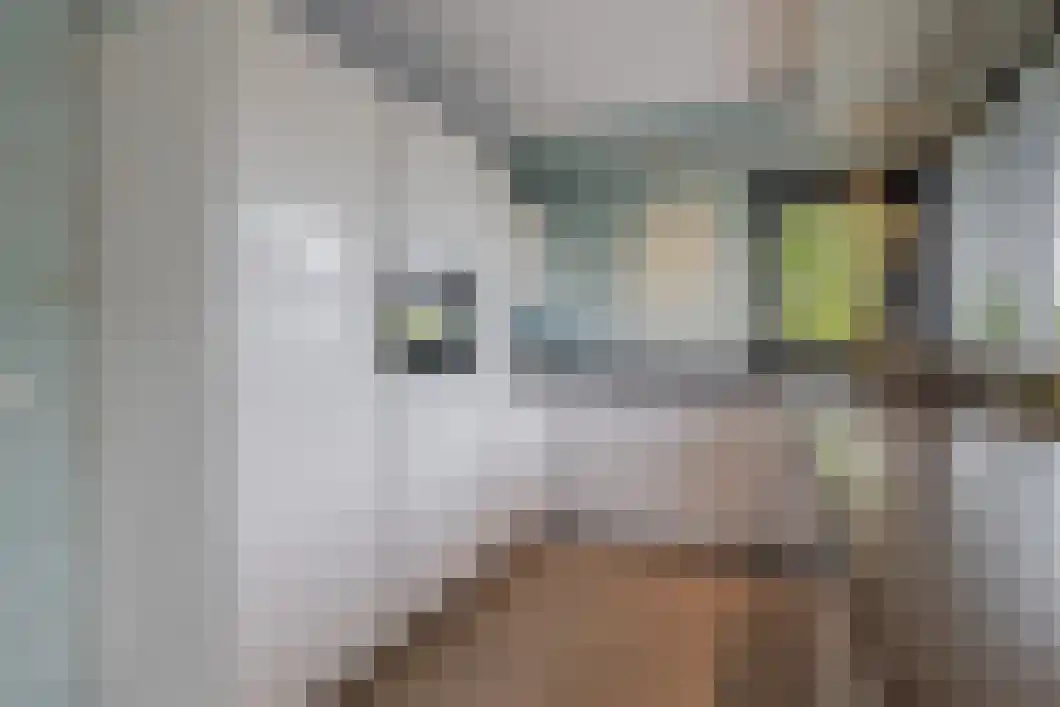 Rietgors 5 Oude Pekela thumbnail 15