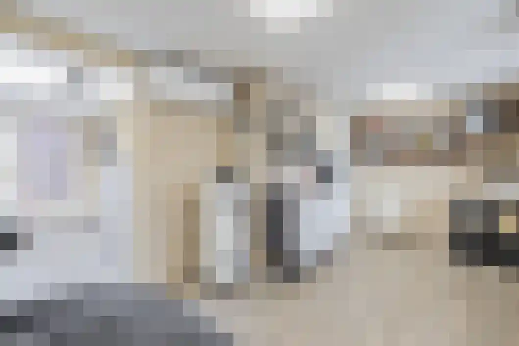 Rietgors 5 Oude Pekela thumbnail 25
