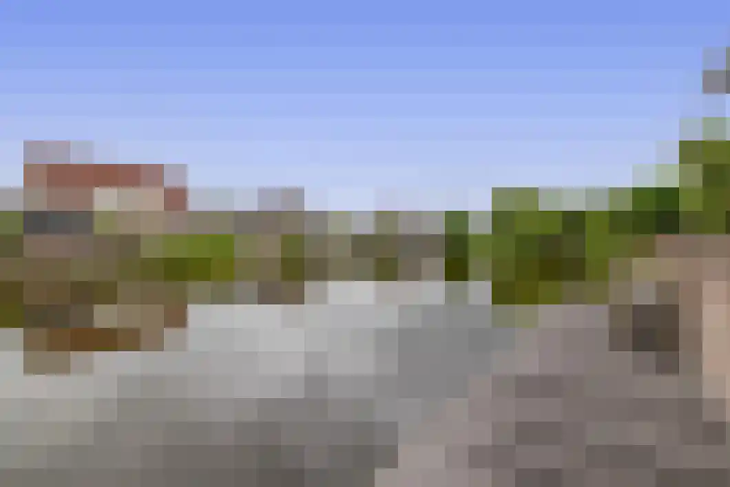 Rietgors 5 Oude Pekela foto 3