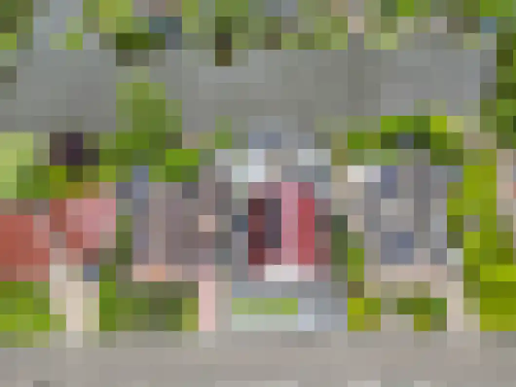 Rietgors 5 Oude Pekela thumbnail 34