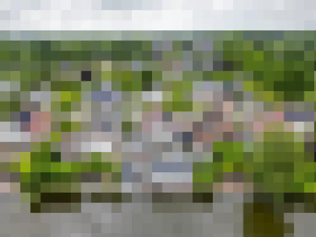 Rietgors 5 Oude Pekela thumbnail 35