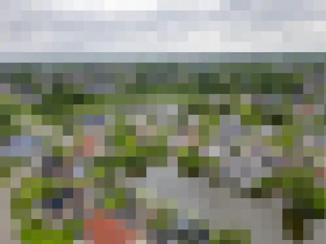 Rietgors 5 Oude Pekela thumbnail 36