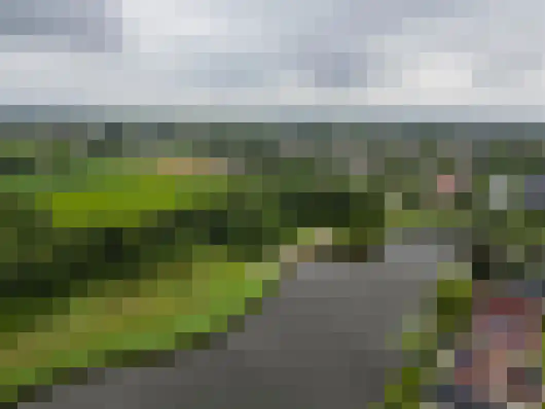 Rietgors 5 Oude Pekela thumbnail 37