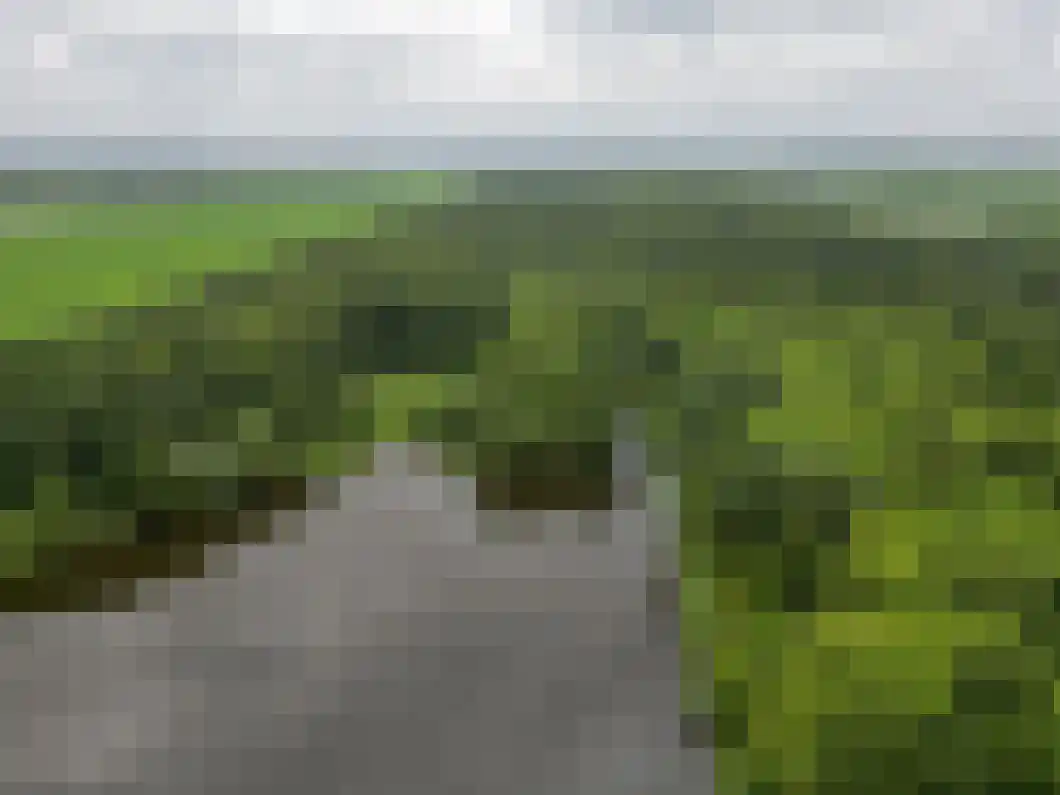 Rietgors 5 Oude Pekela thumbnail 38