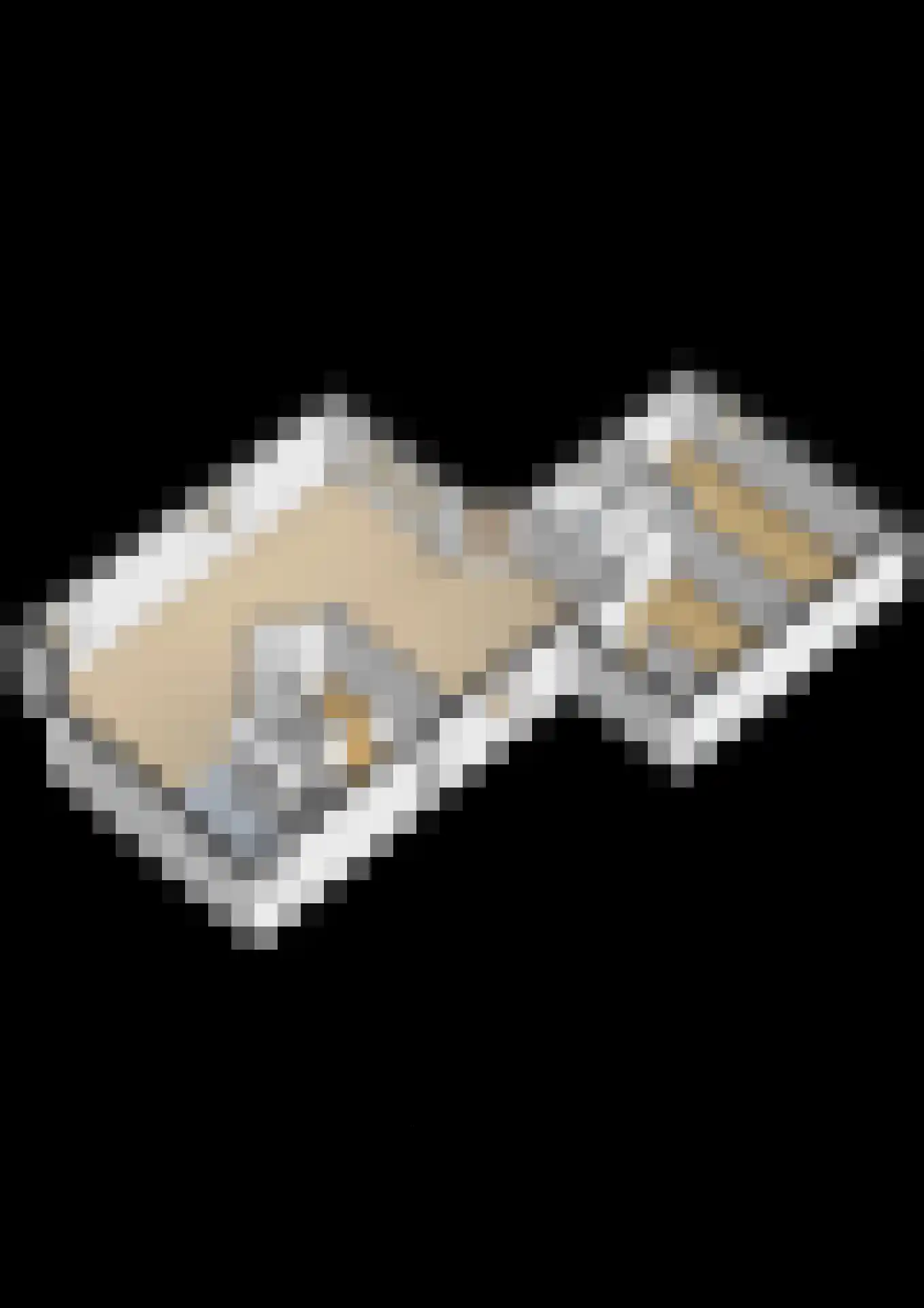 Rietgors 5 Oude Pekela thumbnail 40