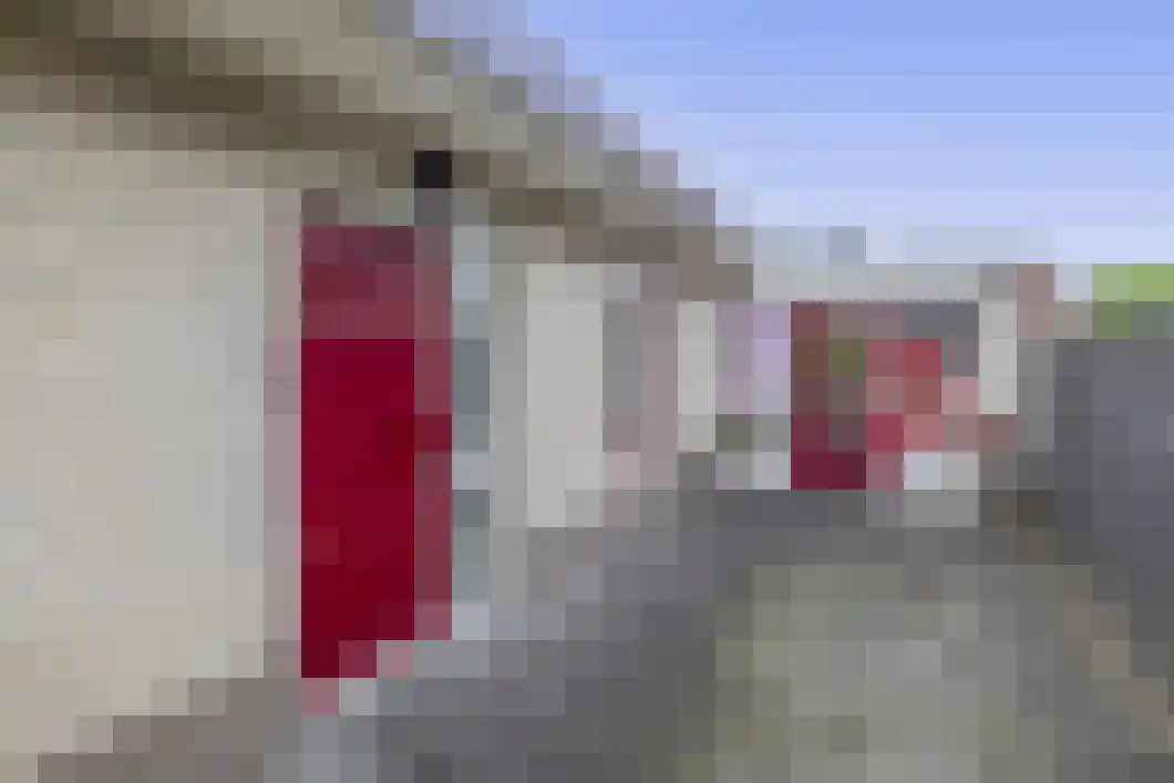 Rietgors 5 Oude Pekela thumbnail 7