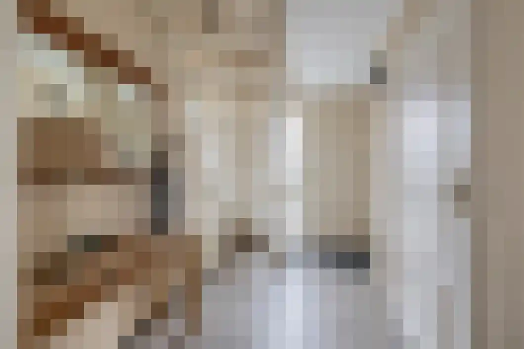 Rietgors 5 Oude Pekela thumbnail 8