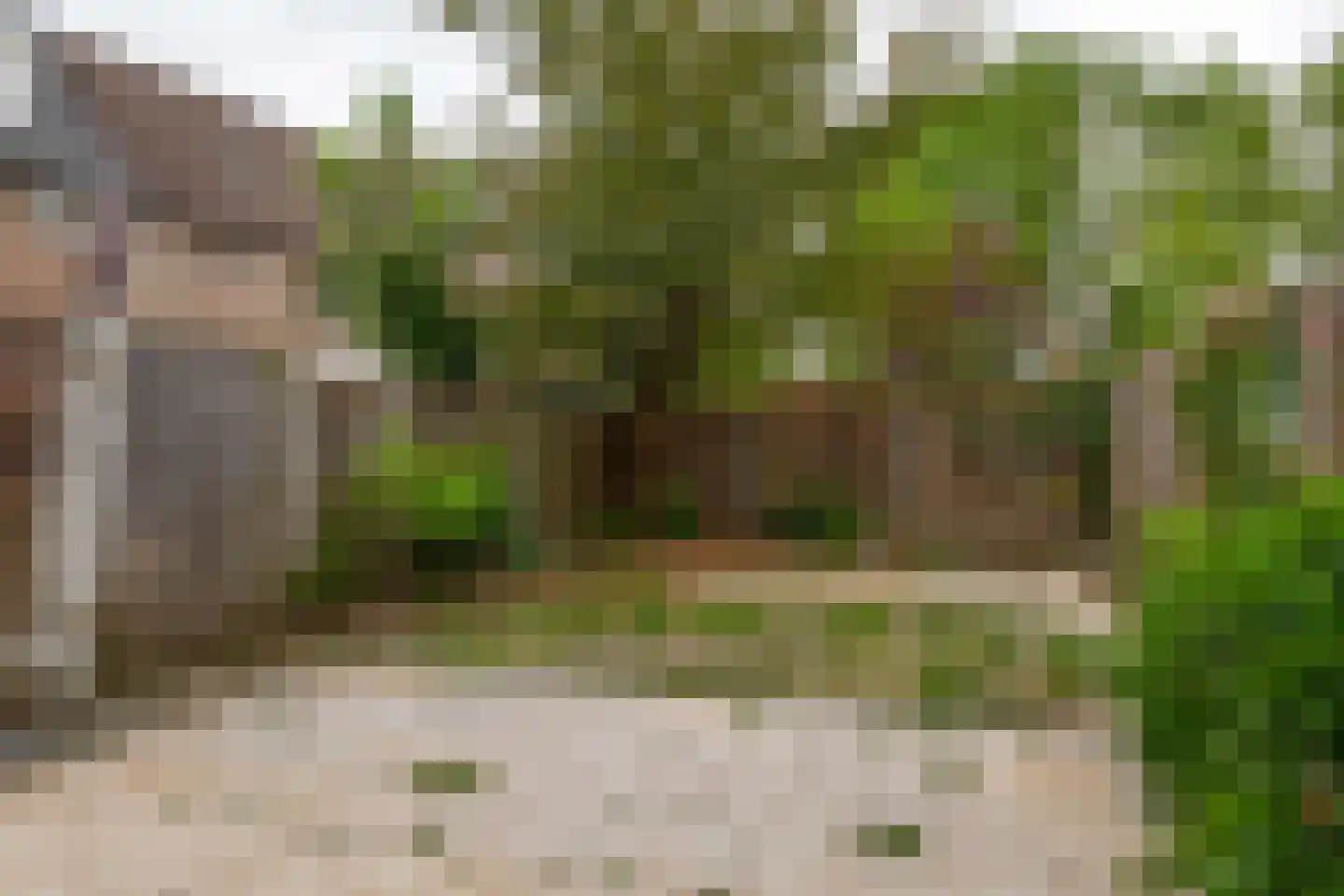 Rietgors 51 Barendrecht thumbnail 11