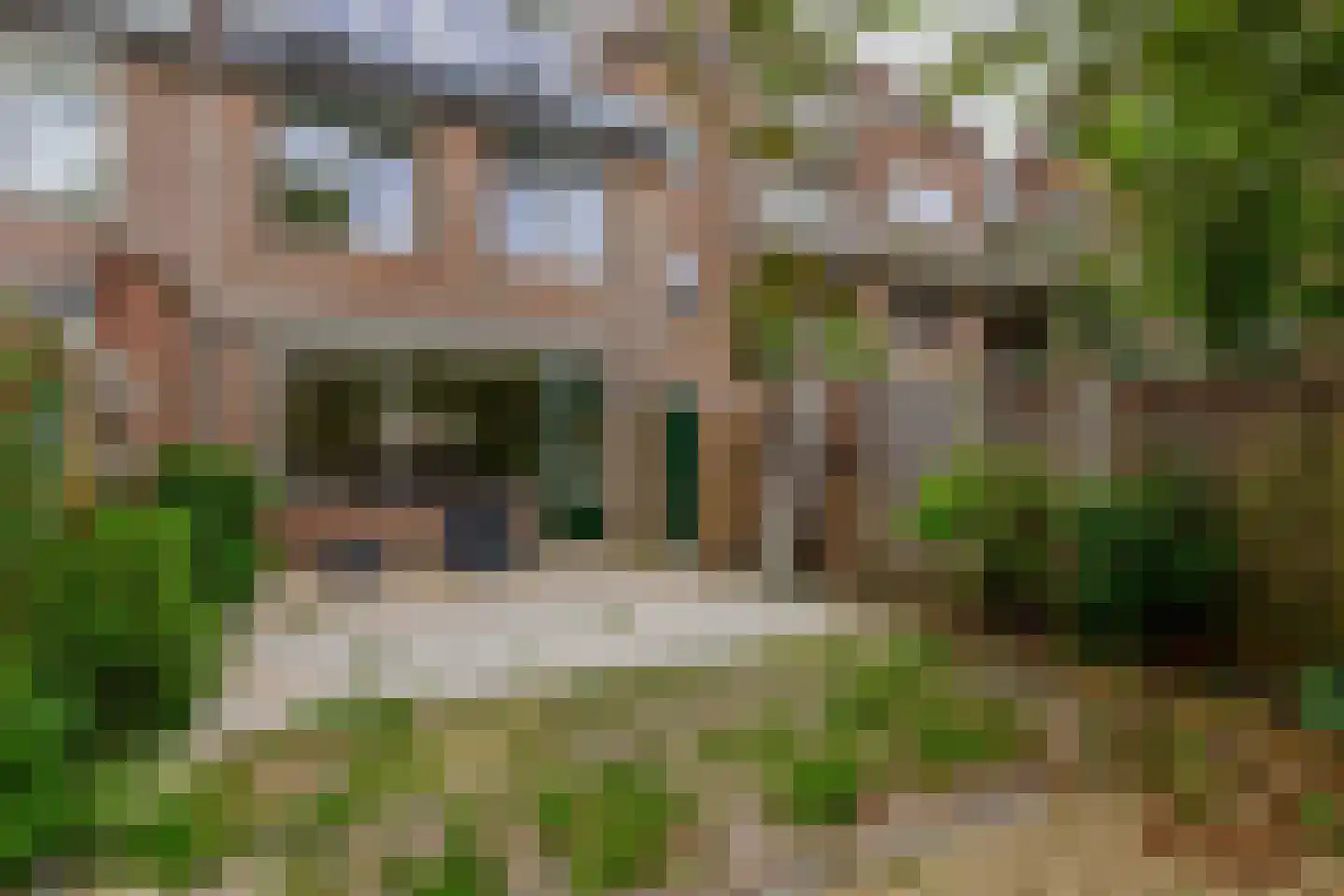 Rietgors 51 Barendrecht thumbnail 12