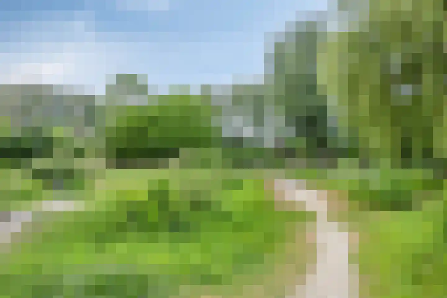 Rietgors 51 Barendrecht thumbnail 32