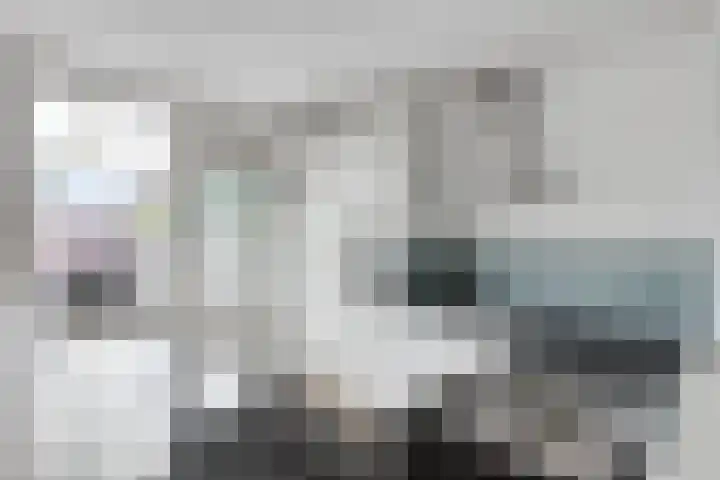 Rietgors 58 Eemnes thumbnail 14