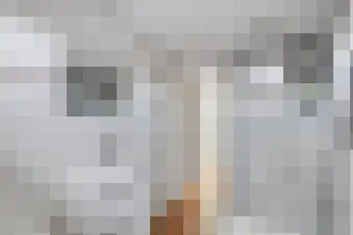 Rietgors 58 Eemnes thumbnail 19