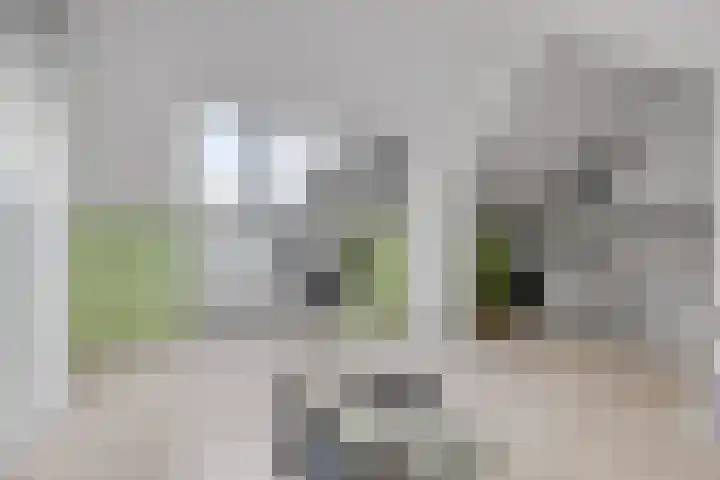 Rietgors 58 Eemnes thumbnail 25