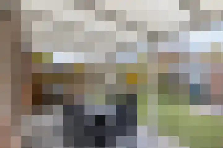 Rietgors 58 Eemnes thumbnail 27