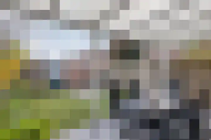 Rietgors 58 Eemnes thumbnail 28