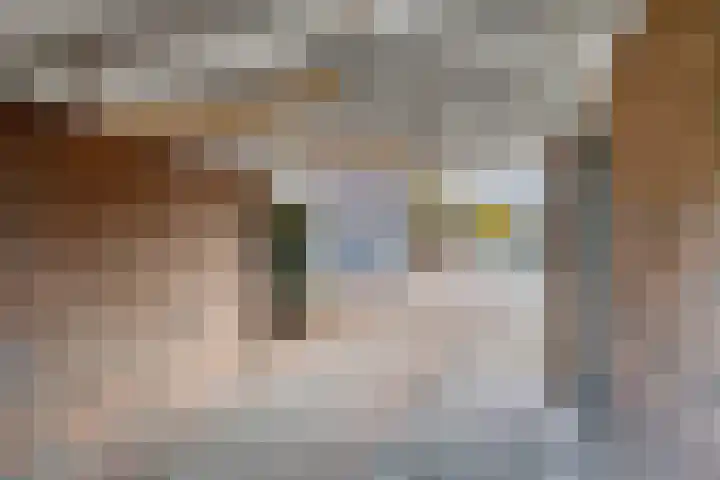 Rietgors 58 Eemnes thumbnail 30