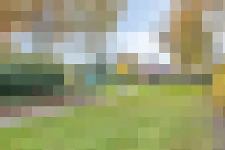 Rietgors 58 Eemnes thumbnail 32