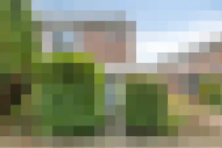 Rietgors 58 Eemnes thumbnail 5