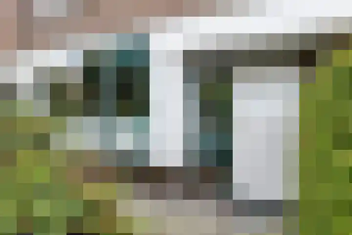 Rietgors 58 Eemnes thumbnail 6