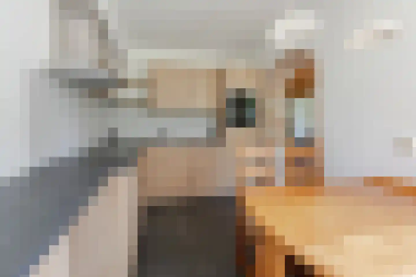 Rietgors 60 Eemnes thumbnail 15