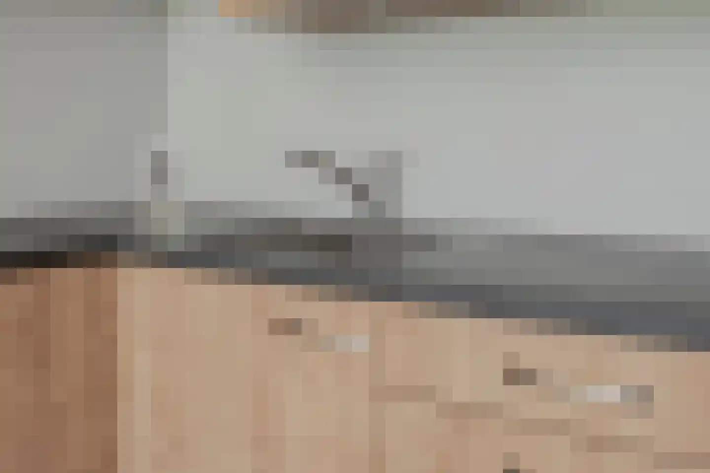 Rietgors 60 Eemnes thumbnail 17