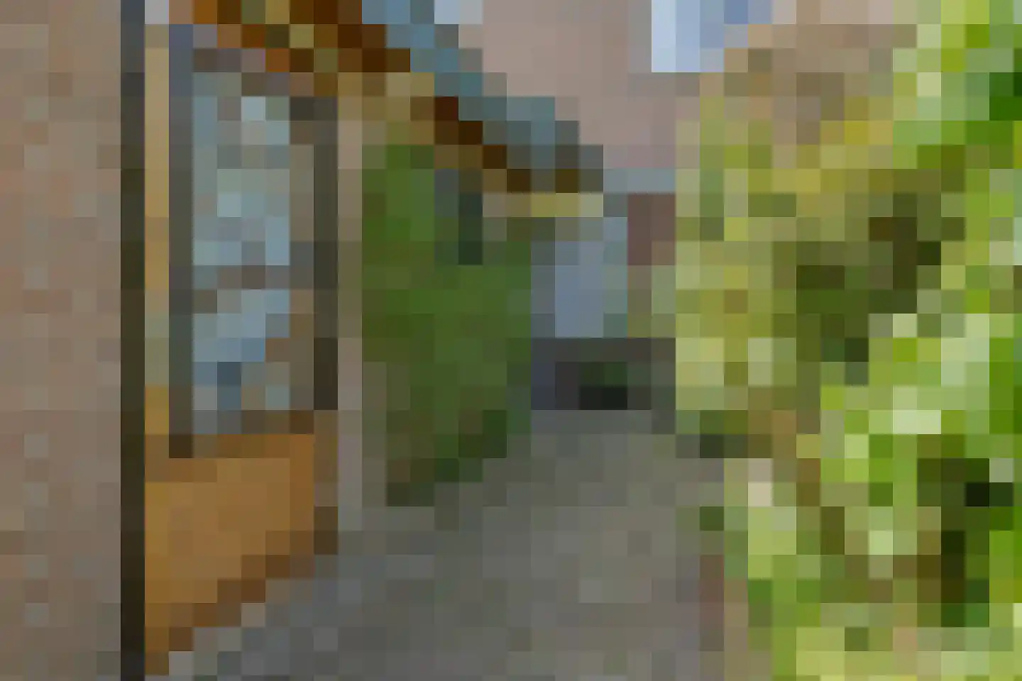 Rietgors 60 Eemnes thumbnail 4