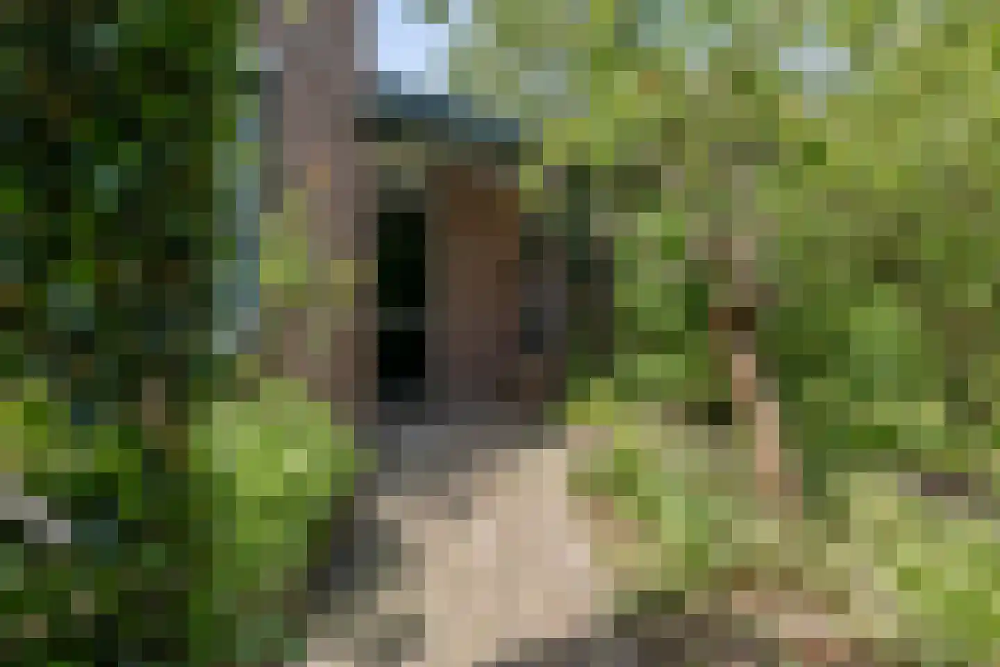 Rietgors 60 Eemnes thumbnail 5