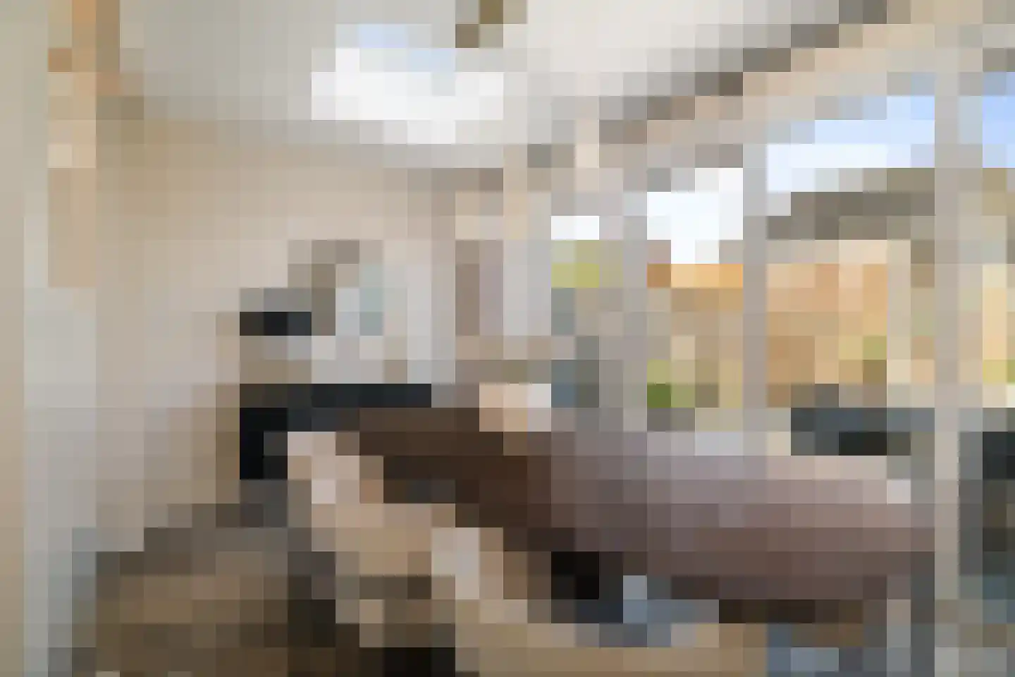 Rietgors 60 Olst thumbnail 10