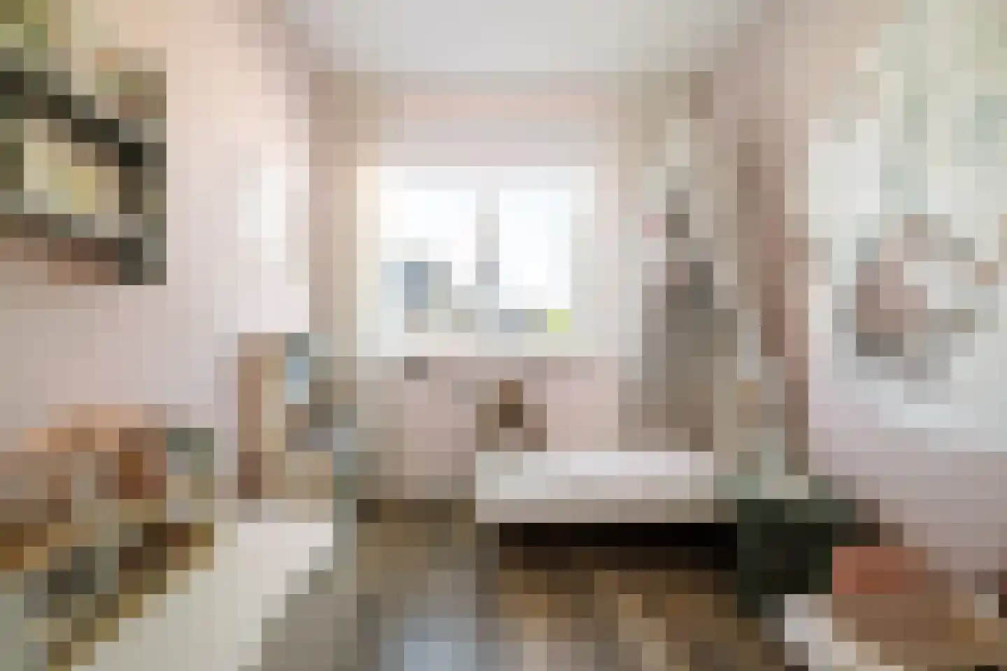 Rietgors 60 Olst thumbnail 12