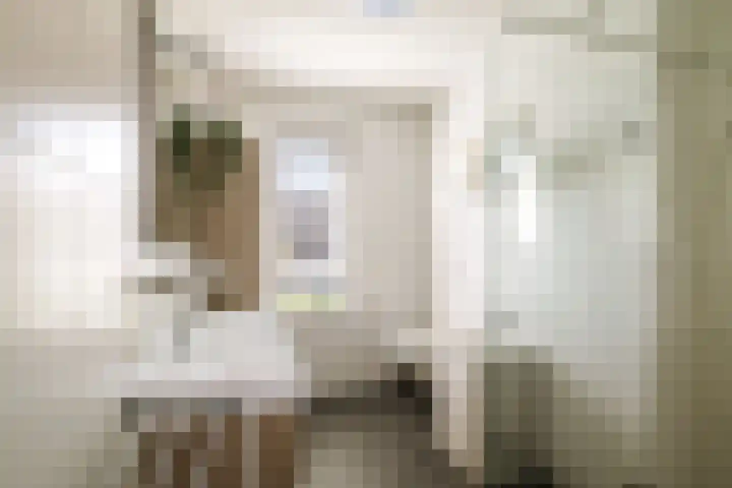 Rietgors 60 Olst thumbnail 17
