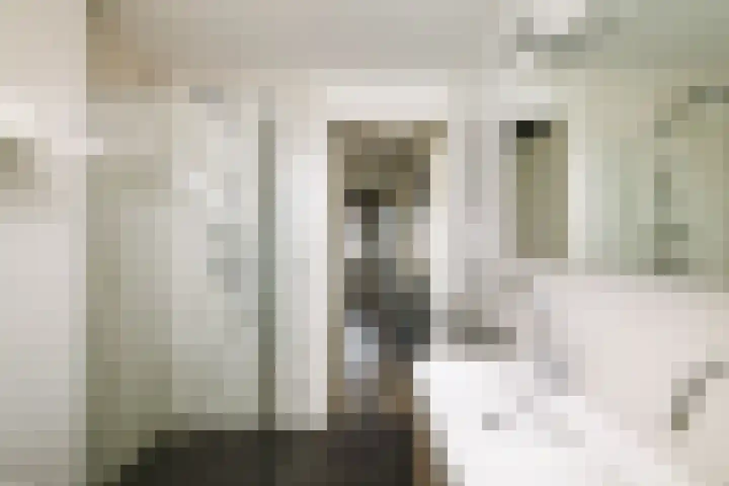 Rietgors 60 Olst thumbnail 18