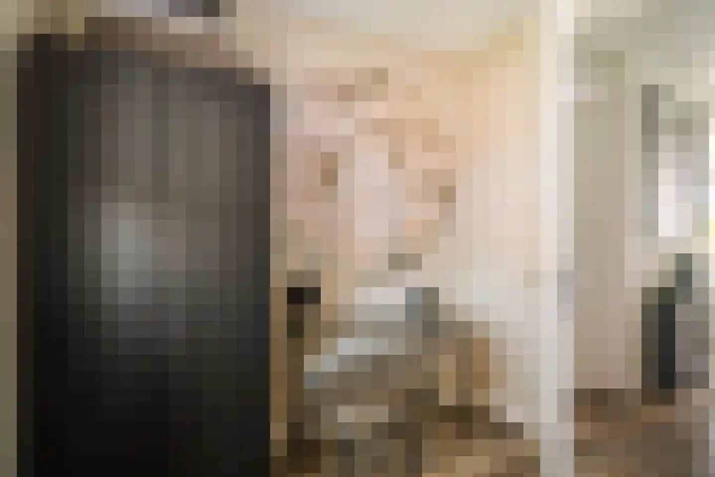 Rietgors 60 Olst thumbnail 21