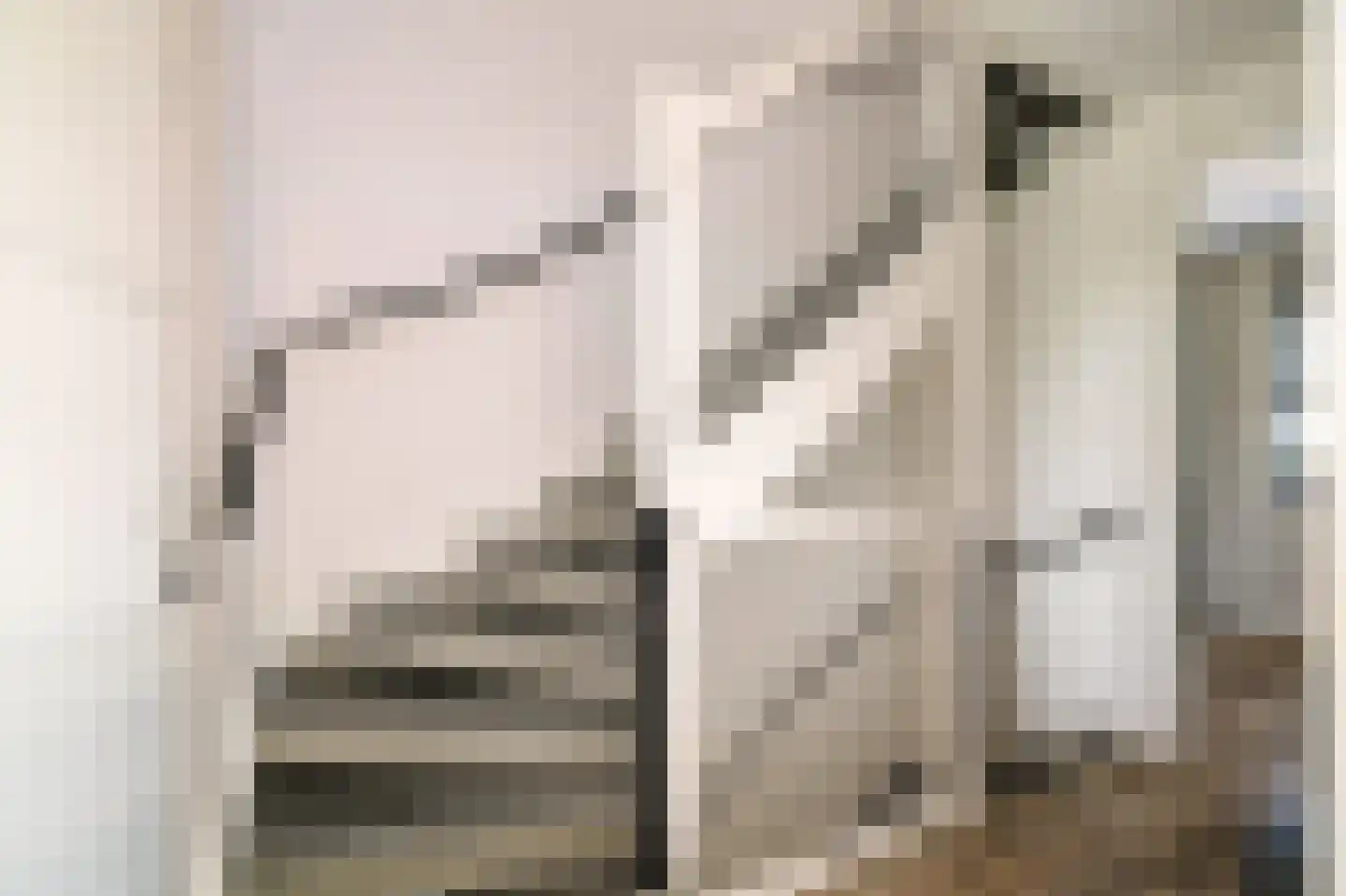 Rietgors 60 Olst thumbnail 22