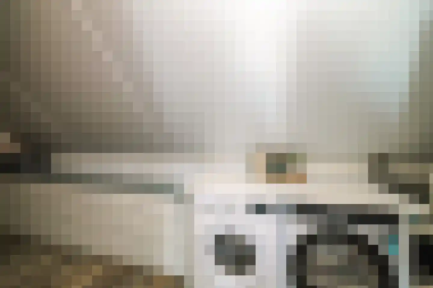 Rietgors 60 Olst thumbnail 24